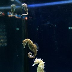 IMG 042